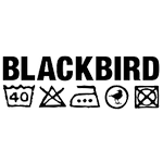Blackbird